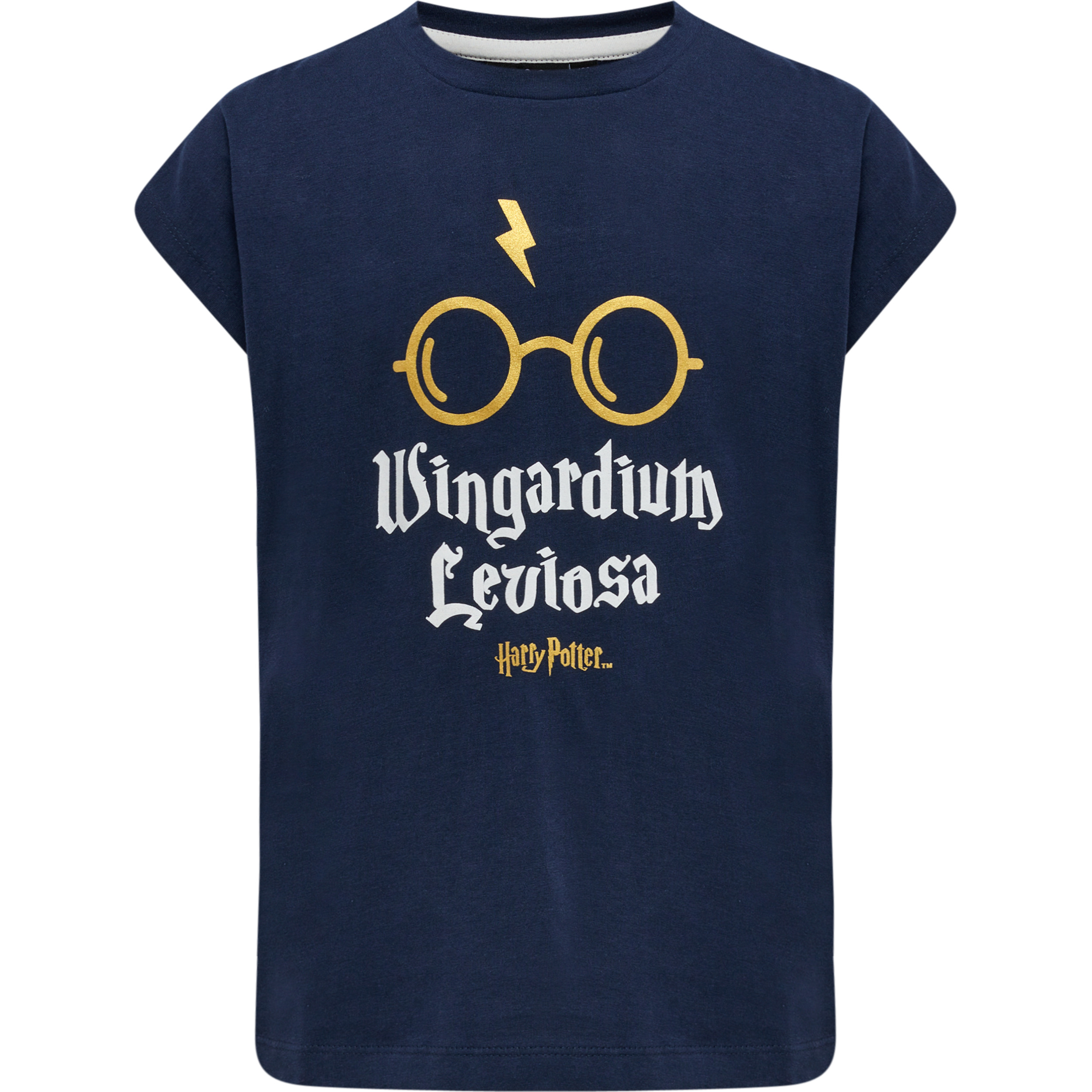 hmlHARRY POTTER DIEZ T-SHIRT S/S