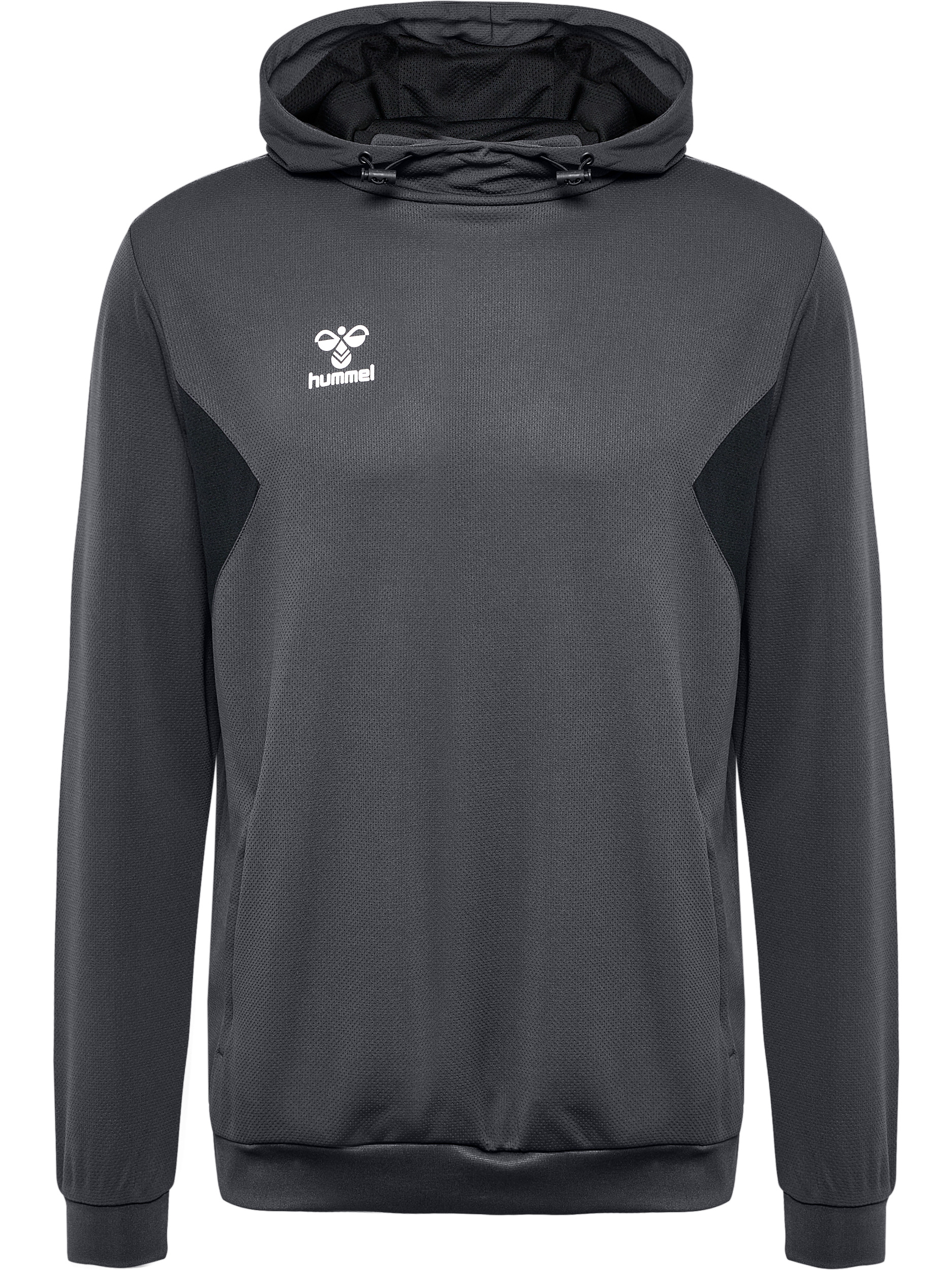 hmlAUTHENTIC PL HOODIE