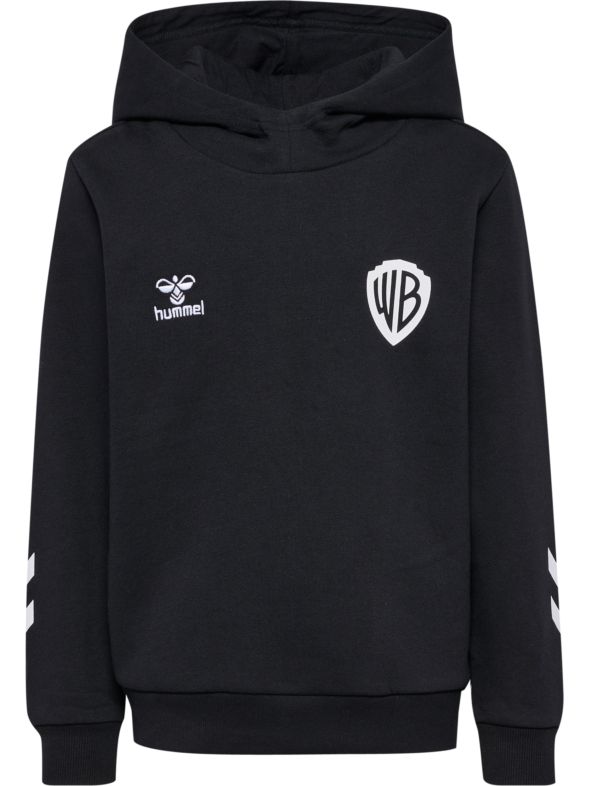 hmlCELEBRATING STORY HOODIE